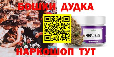 ПСИЛОЦИБИНОВЫЕ ГРИБЫ Коммунар