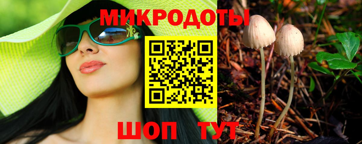Галлюциногенные грибы прущие грибы Кольчугино